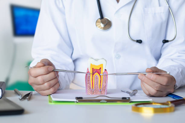 Best Emergency Treatment for Oral Infections in Winlock, WA